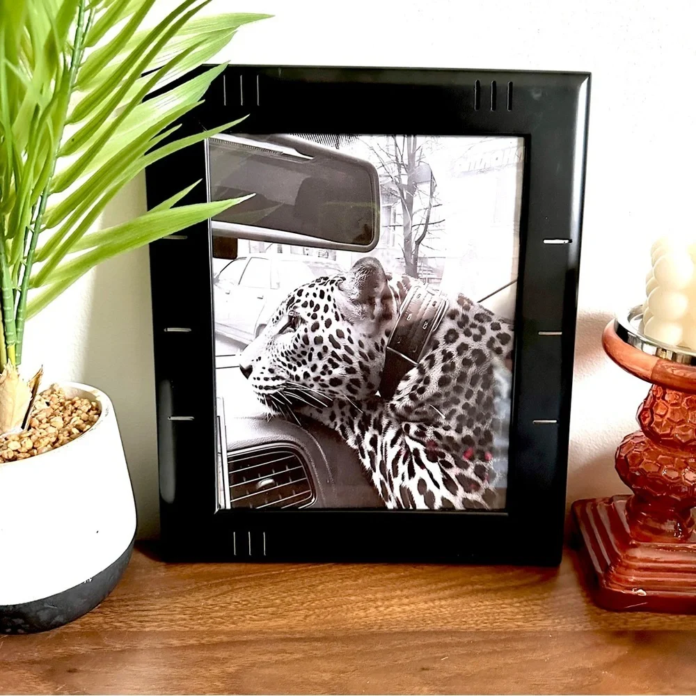 Wild Cat in the City Panther Cheetah Leopard Collar Car B/W Canvas Framed Print